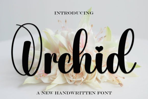Orchid: A Handwritten Display Typeface for Modern Campaigns